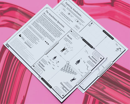 Attachment Spectrum Session Kit