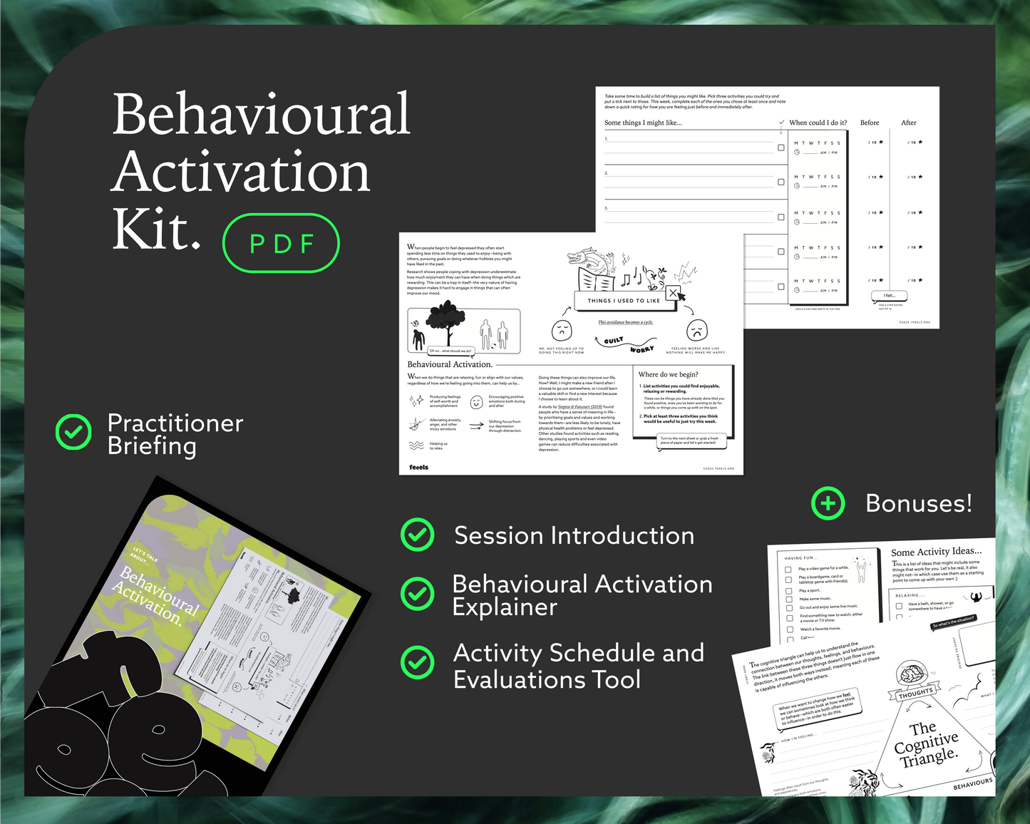 Behavioural Activation Session Kit