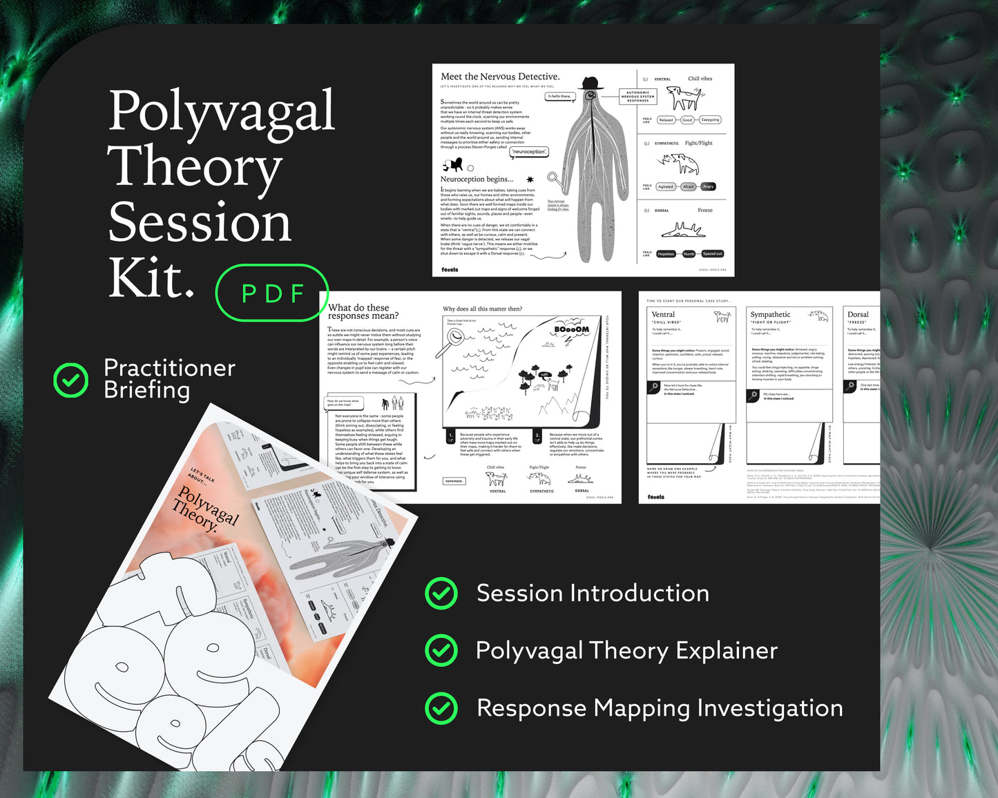 Polyvagal Theory Session Kit